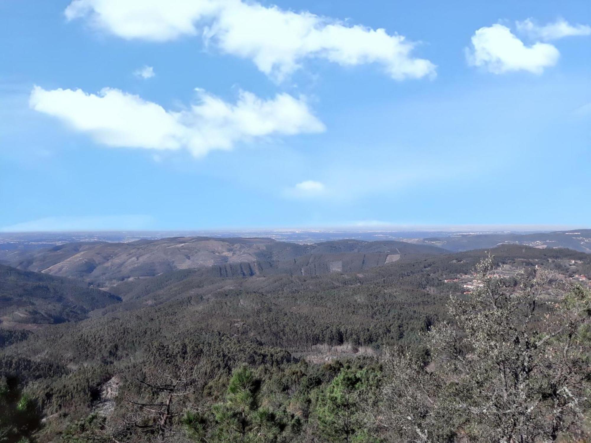 Urgueira  Welcoming House With Mountain View In Agueda Shared Pool 빌라 외부 사진
